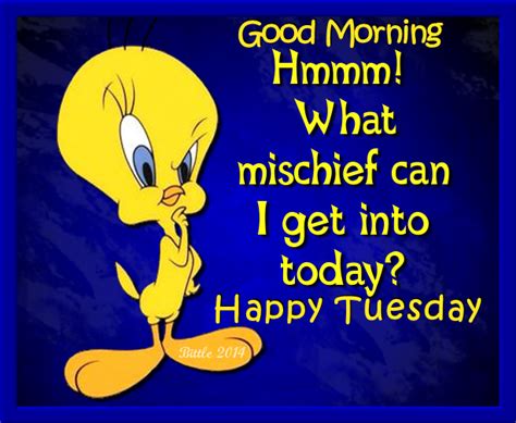 Tweety Bird Good Morning Happy Tuesday Pictures Photos And Images For