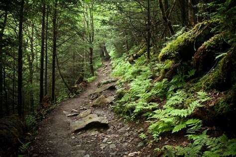 The 8 Hardest Hikes In The Smokies