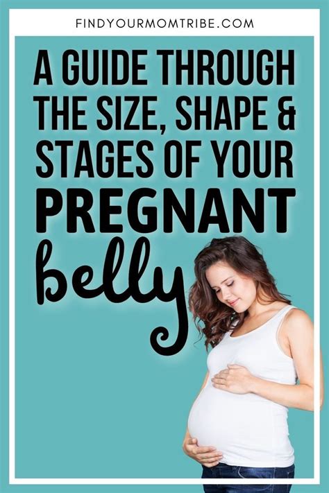 A Guide Through The Size Shape And Stages Of Your Pregnant Belly