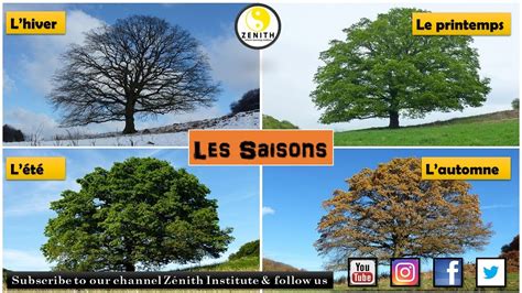 French Session 32 Les Saisons Seasons In French Delf A1 French
