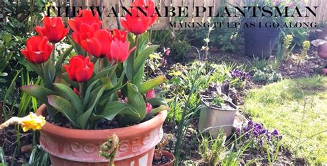The Wannabe Plantsman