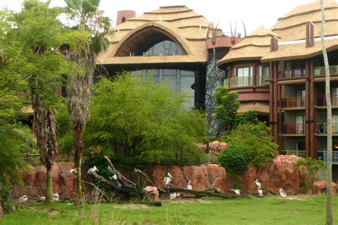 Disneys Animal Kingdom Lodge Savanna View Club Level Access Rates