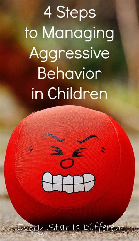 4 Steps To Managing Aggressive Behavior In Children Aggressive