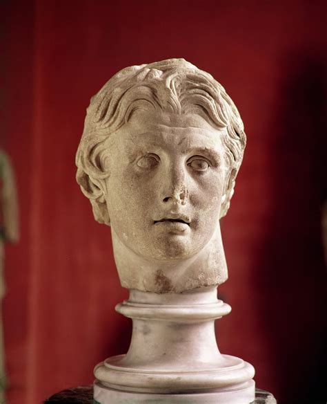 Head Of Alexander The Great Found At Pergamon Marble 269338