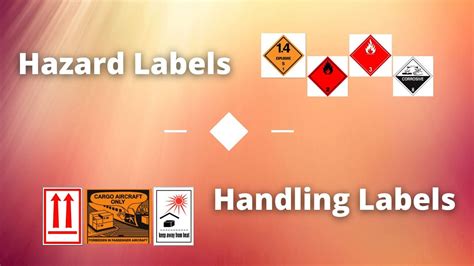Hazard And Handling Labels Iata Dgr Dangerous Goods Regulations Dgr
