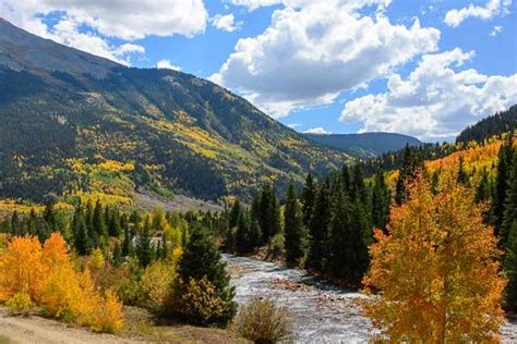 Colorful Aspen In Autumn Ouray Colorado Rv Road Trip Rv Travel Aspen