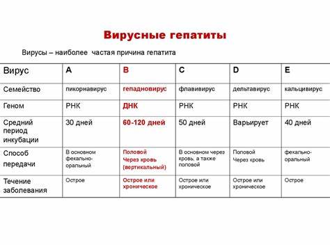 Диета по гепатиту номер