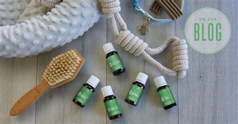 Essential oils are highly concentrated plant extracts that contain the chemical compounds that make up the aroma of the plant they derive from. Essential Oils for Dogs | Young Living Blog