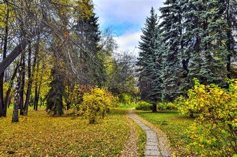 Walkway In Autumn City Park With Multi Colored Foliage Of Trees Stock