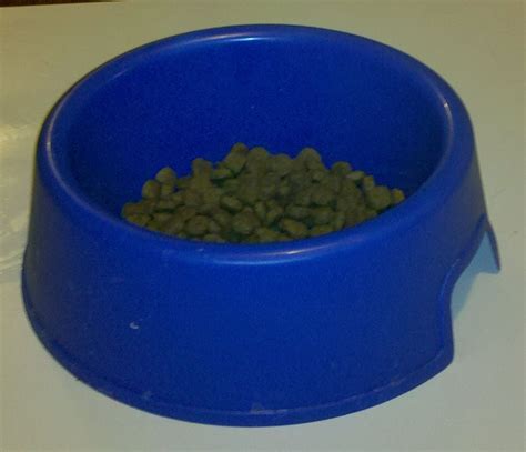 They help arthritic dogs eat. File:Large Dog food bowl.jpg - Wikimedia Commons