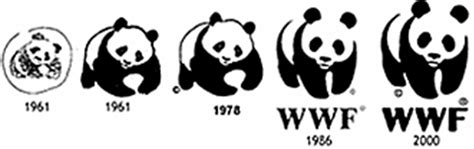 Giant Panda No Longer Endangered But Iconic Species
