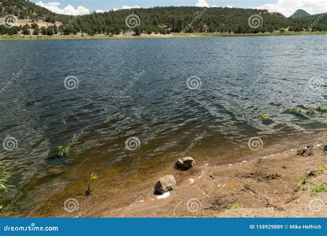 Summer At Quemado Lake New Mexico Stock Image Image Of Enjoy