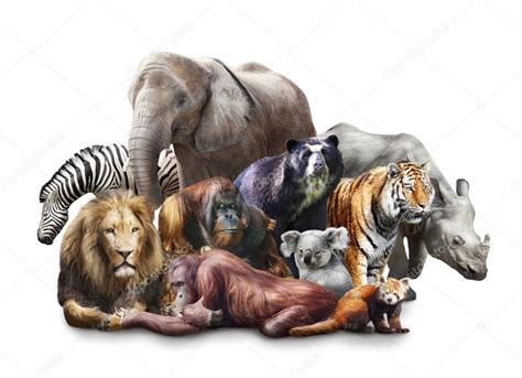 Group Of Animals Stock Photo By ©elena Schweitzer 11487368