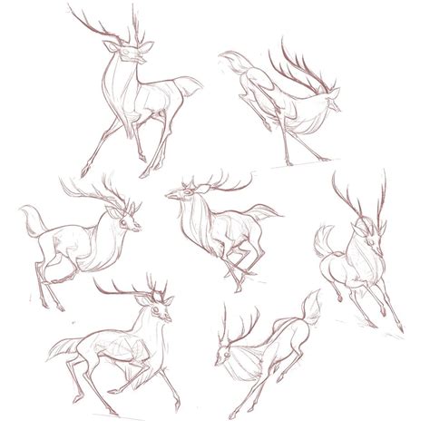 Deer Drawing Drawing Tips Drawing Deer Drawingtips Deer Drawing
