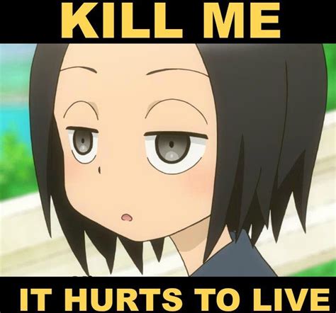 Pin By Ema P 248 Ni An On Anime Memes Anime Memes Funny Anime Memes