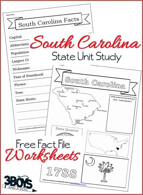 South Carolina State Fact File Worksheets 3 Boys And A Dog