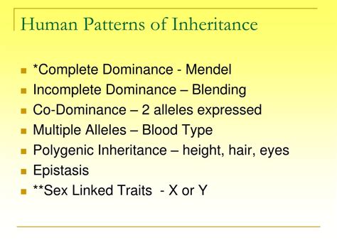 Ppt Human Patterns Of Inheritance Powerpoint Presentation Free
