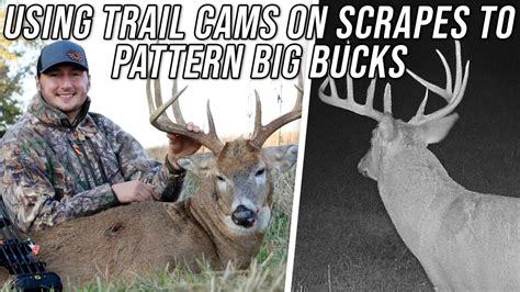 Using Mock Scrapes And Trail Cameras To Pattern A Big Buck Youtube