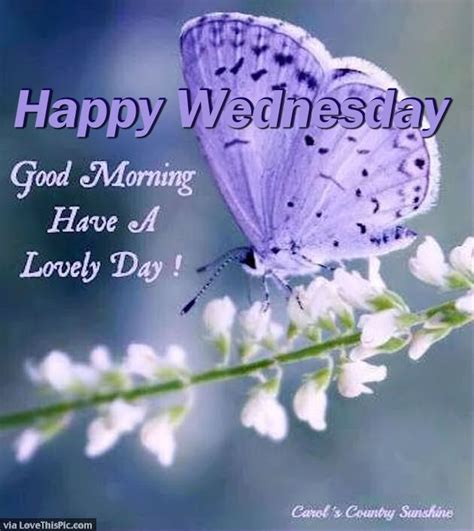 Happy Wednesday Good Morning Have A Lovey Day Pictures Photos And