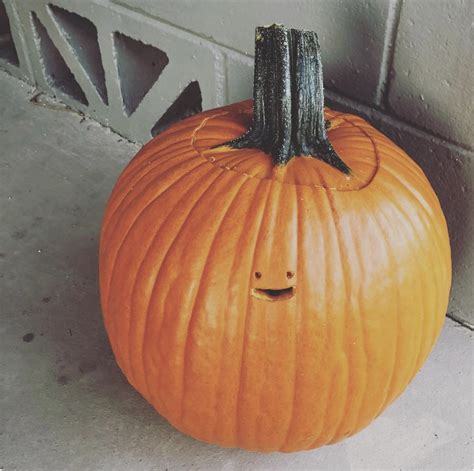 15 Pumpkins That Were Clearly Carved By Hilariously Weird People
