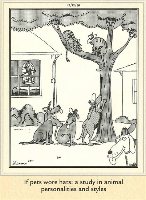 If Pets Wore Hats ♡ The Far Side Far Side Comics
