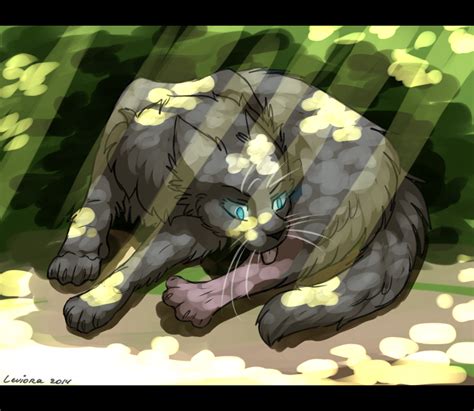 Cinderpelt By Janeripley On Deviantart