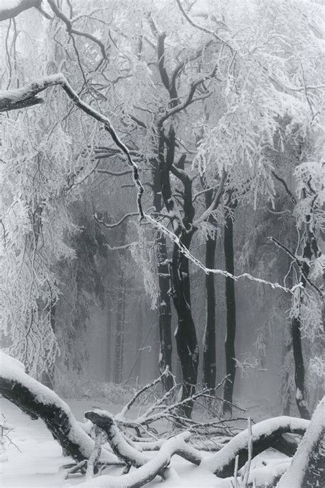 Snow Aesthetic Tumblr Winter Szenen Winter Forest Winter Love