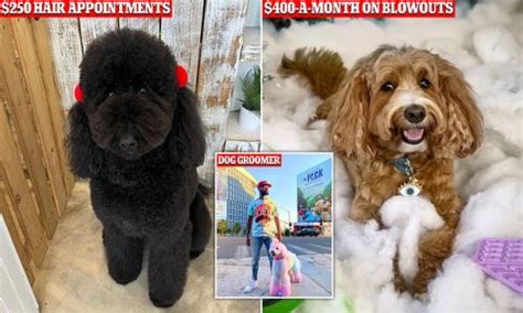 Very Pampered Pooches Devoted Goldendoodle Owners Are Spending Up To