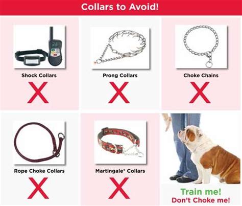 Are Choke Collars Bad For Dogs