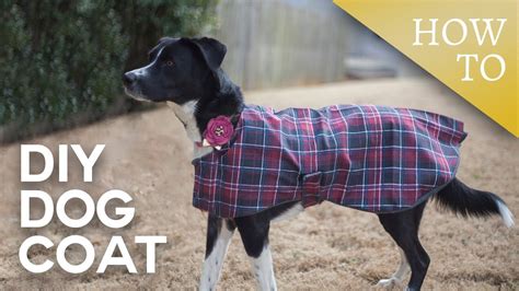 Diy Dog Coat Sew A Long Youtube