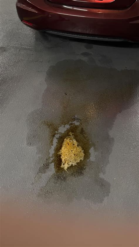 Found this big puddle under my car. It's sort of solid in the middle