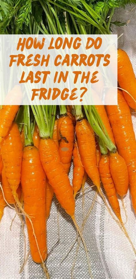 How Long Do Fresh Carrots Last In The Fridge In 2023 Carrots Fresh