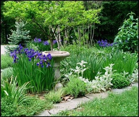 Irises Surrounding A Bird Bath Outdoor Gardens Front Garden Design