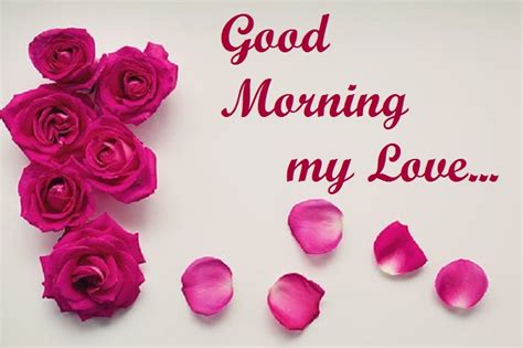 Good Morning Love Hd Images Morning Greetings