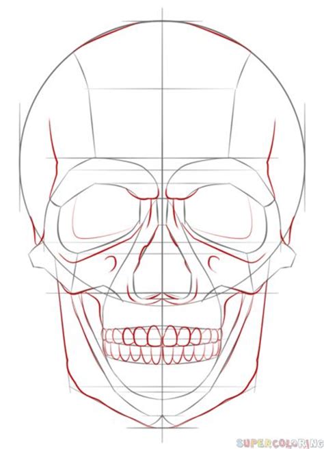 How To Draw A Skull Step By Step Realistic Caryn Still