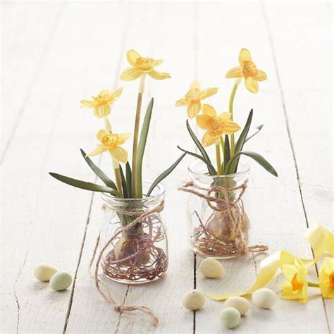 Mini Daffodil Bulb Artificial Narcissus In Glass Jar Prillys