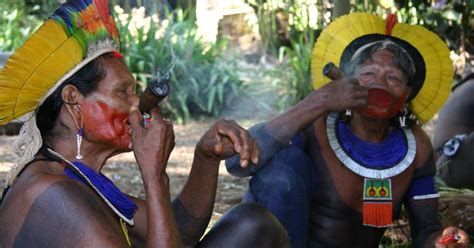 Genética ajuda a demonstrar colapso populacional de povos indígenas no Brasil após chegada de