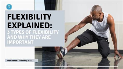 Flexibility Explained 3 Types Of Flexibility