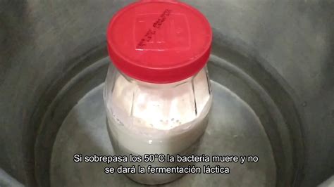 Fermentación Láctica Elaboración De Yogurt Youtube