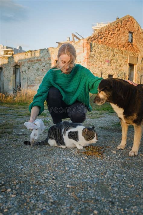 Woman Feeding Street Cat And Dog Stock Image Image Of Care Sick