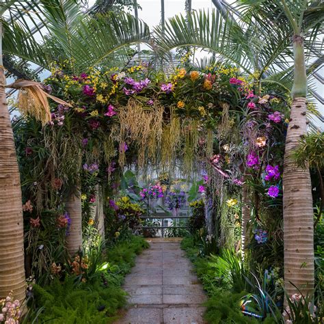 Designing The 2017 Orchid Show My Chicago Botanic Garden