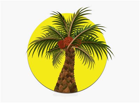 Gambar Pokok Kelapa Sawit Kartun Animasi Pohon Kelapa Sawit Clipart Images