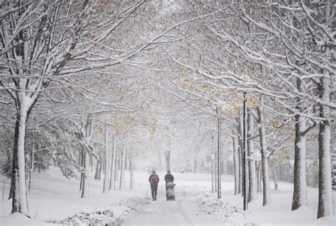 First Snowfall Of The Season Blankets Montreal Montreal Globalnewsca