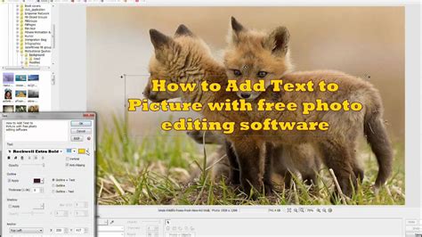 Add photos into the program. How to add text to picture using free photo editing ...