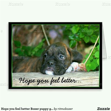 29 Best Boxers Get Well Cards Images On Pinterest German Shepherd Puppies Boxer