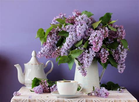Blooming Purple Lilac In A Jug Cup And Teapot Still Life In Ru Stock