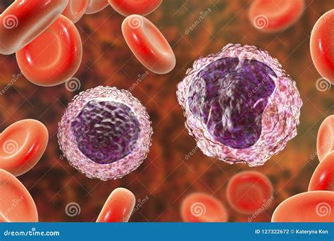Lymphocyte And Monocyte Surrounded By Red Blood Cells Stock