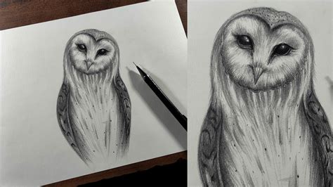 How To Draw A Barn Owl With Pencil Step By Step For Beginners Easy