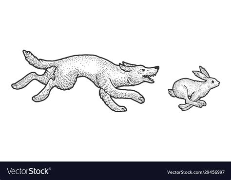 Wolf Chasing Hare Sketch Royalty Free Vector Image