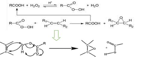 Scheme 3 Mechanism Of Epoxidation Of Oils With Peroxide 14